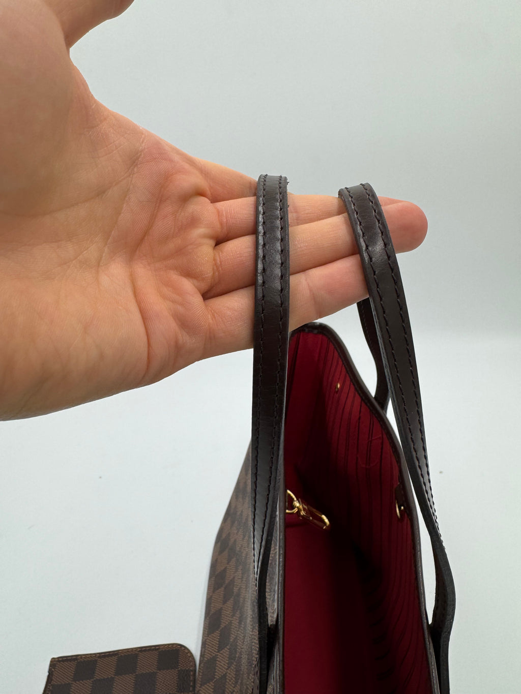 Louis Vuitton Neverfull PM & Poutch